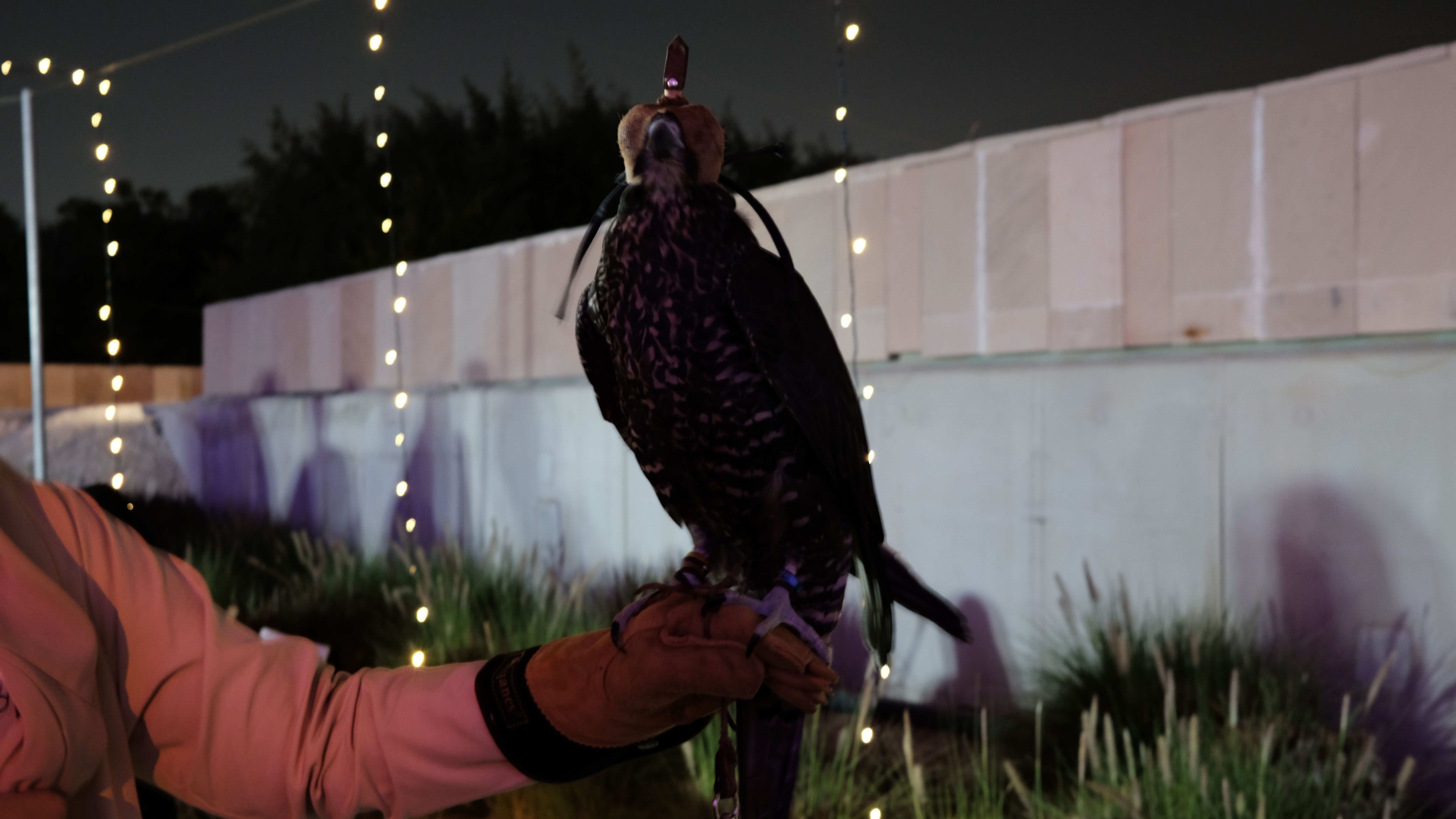 The Qatar Cultural Club organized a series of cultural activities aimed at connecting community members, offering a platform for cultural exchange and appreciation.